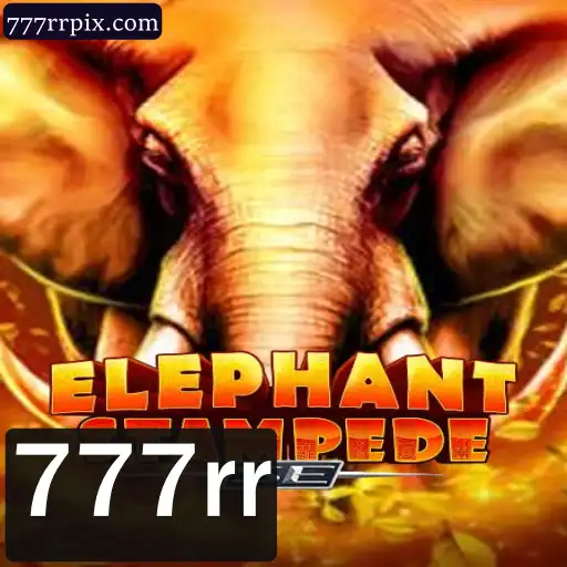 Explorando o Fascinante ElephantStampedeSE: Um Mergulho nas Aventuras Selvagens